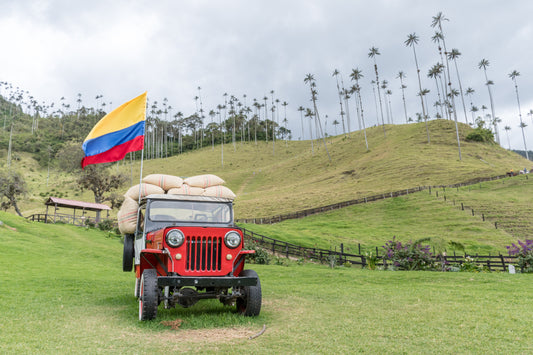 Colombian Supremo